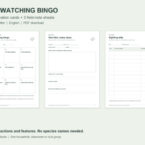 Reduced previews of one observation bingo card, a bird field-note sheet and a sighting tally. A4 and US Letter PDF editions.