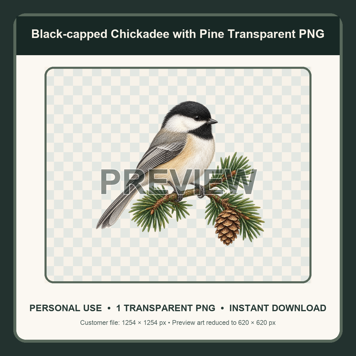 Reduced preview of a black-capped chickadee on pine transparent PNG illustration
