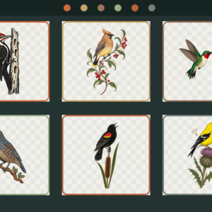 Preview of six North American bird botanical PNG illustrations