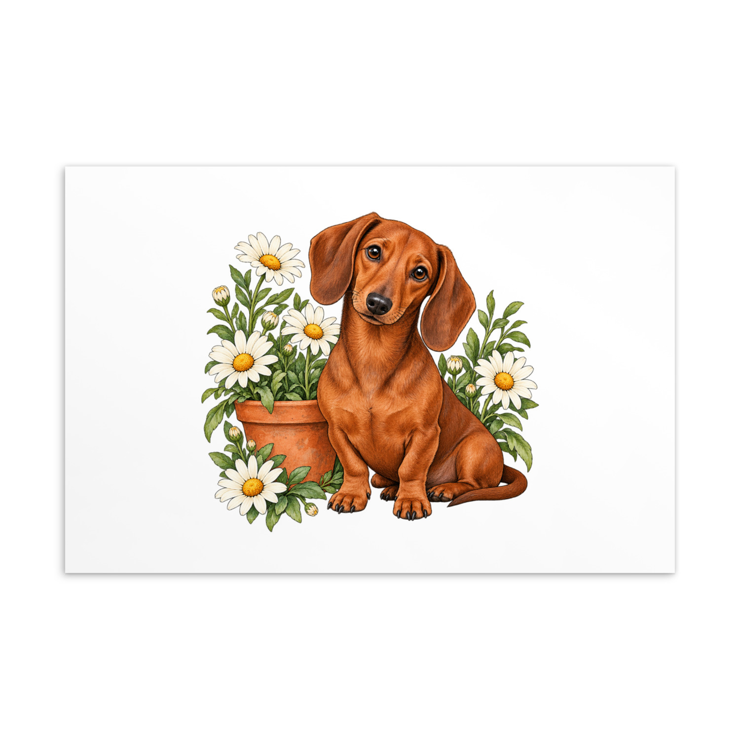 Included postcard: dachshund and garden flowers